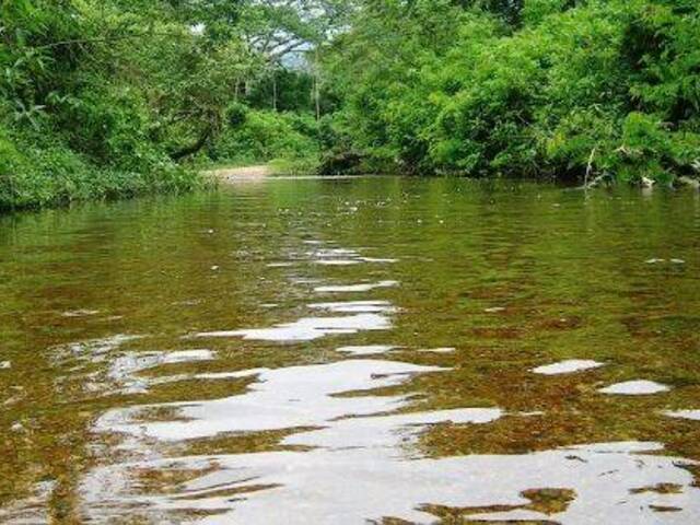 #340 - Área para Venda em Caraguatatuba - SP